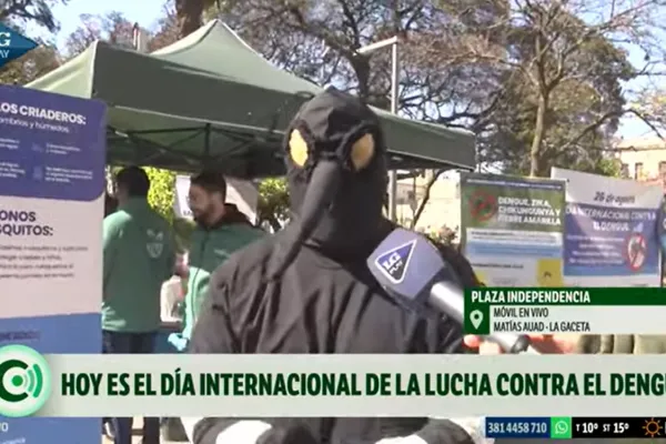 Día Internacional contra el Dengue: la advertencia del mosquito tucumano antes de la llegada del calor