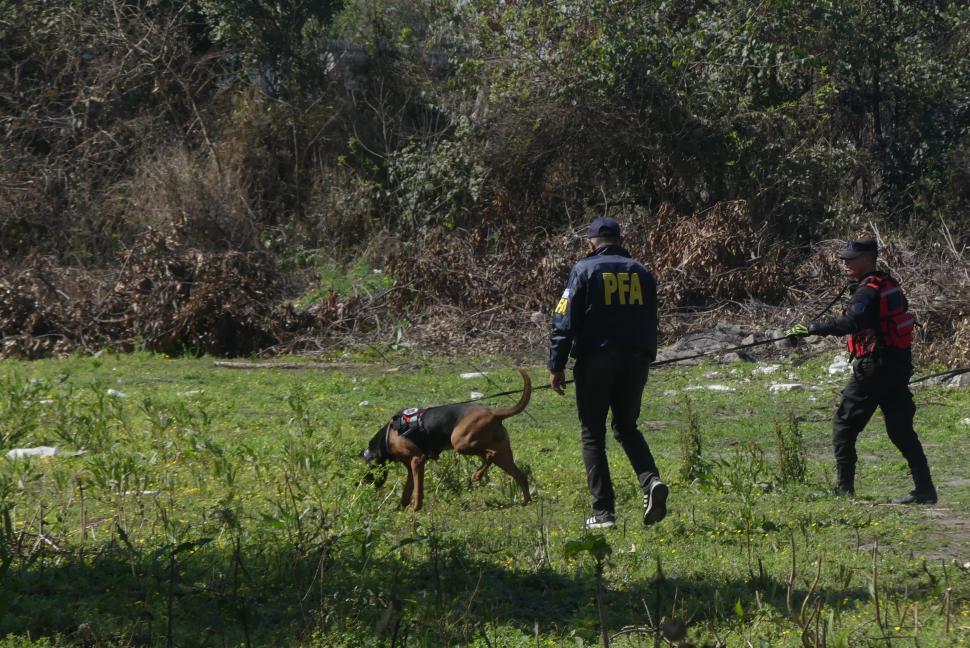 CANES. Los perros de búsqueda fueron claves para encontrar un cráneo.