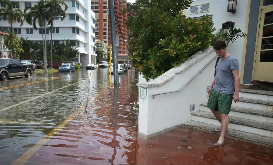 Nueve ciudades del mundo podrían quedar bajo el agua en 2030