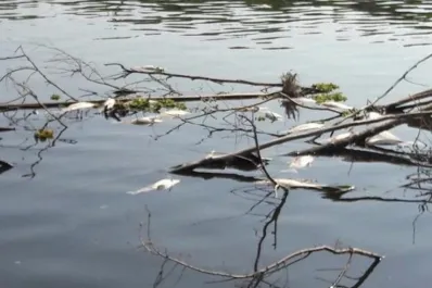 Contaminación ambiental: el Gobierno multó a dos ingenios tucumanos por un monto de $ 24 millones