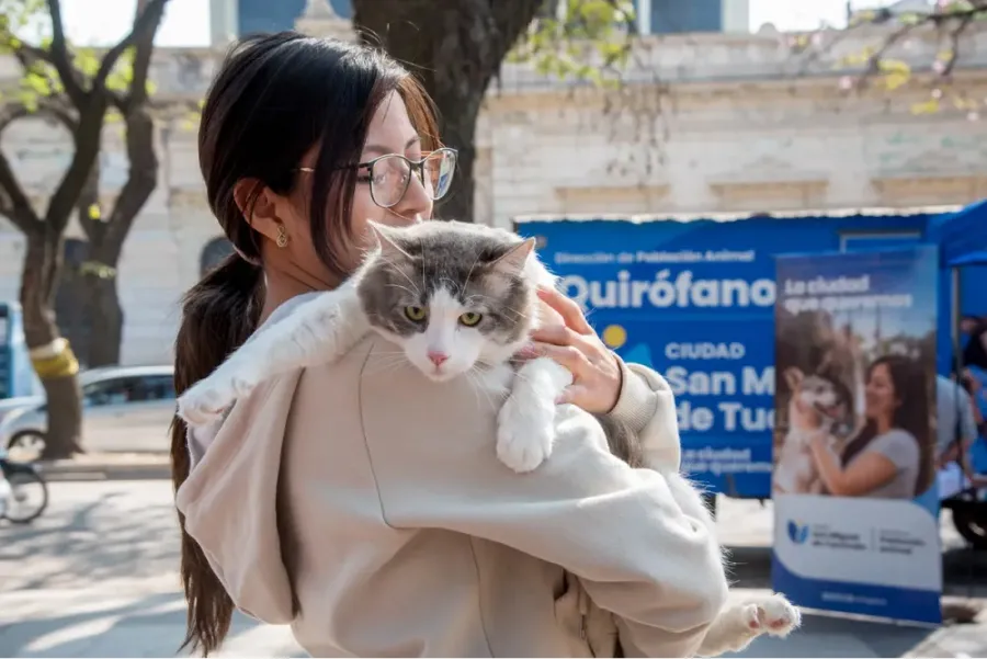 Piden tomar los cuidados necesarios con los animales que vayan a vacunarse.