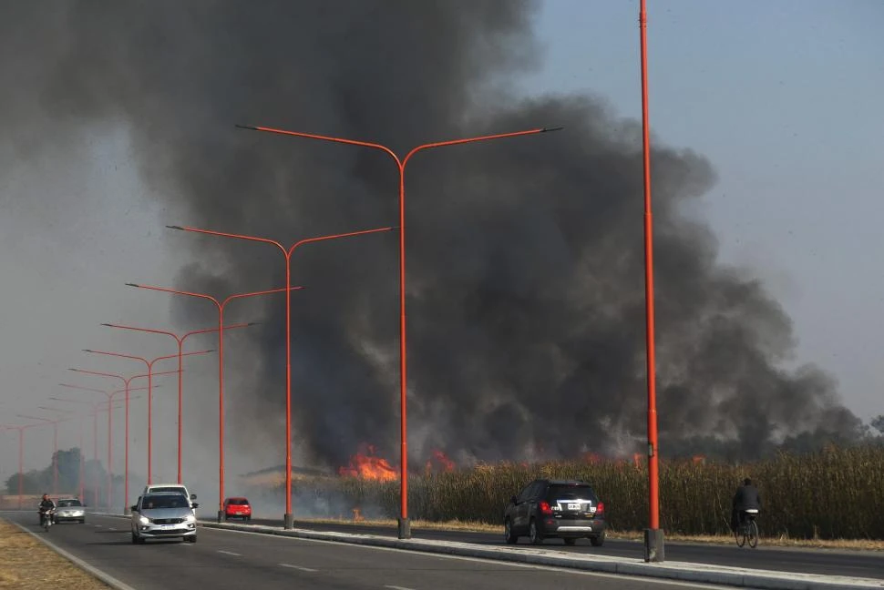 VIDEO. Instalarán una red de monitoreo ambiental en el Norte Grande