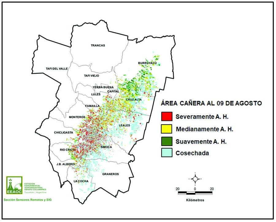 La Eeaoc ajustó las estimaciones de producción para la zafra 2024 a 17,5 millones de toneladas