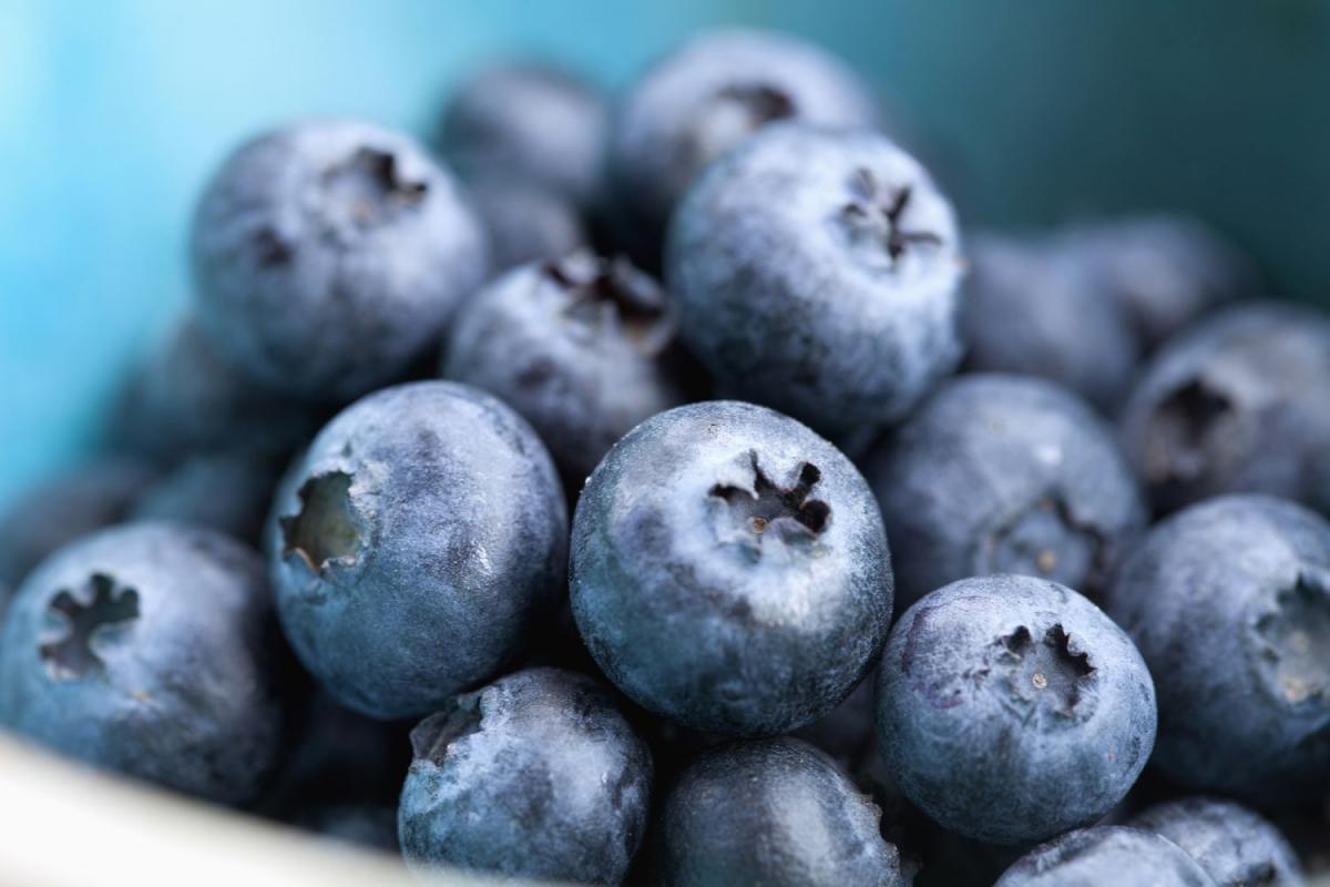 ¿Qué sucede en nuestro cuerpo si comemos arándanos todos los días?