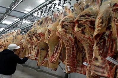 Modifican la norma para llegar al 100% de tipificación en faena