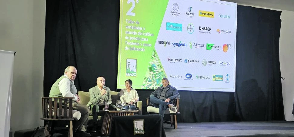 Actividad de la Eeaoc: se realizó el II° Taller de Variedades y Manejo de Porotos en Tucumán