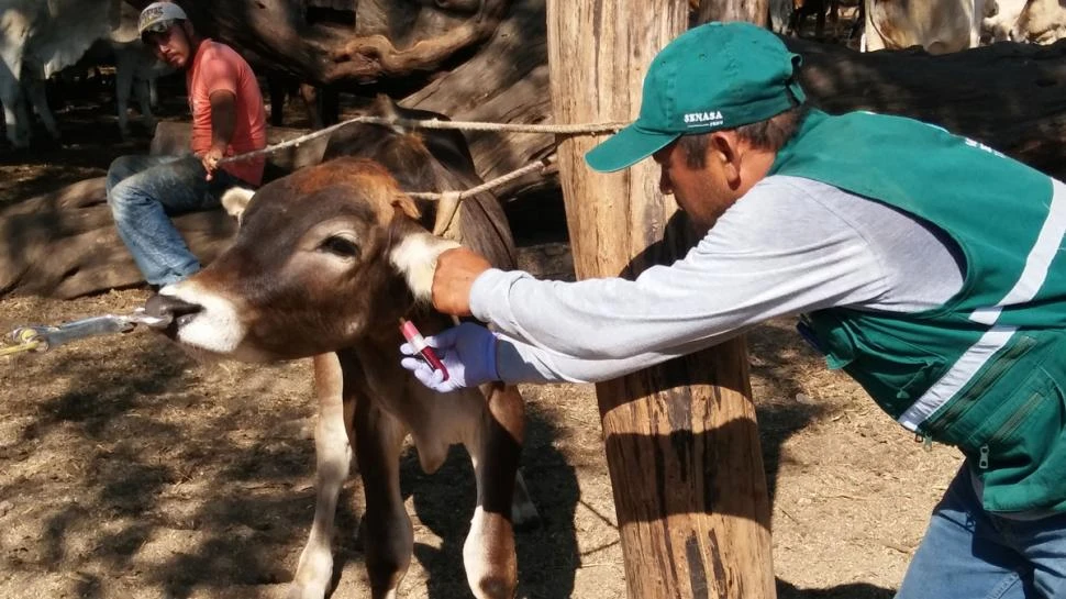 CLAVE. Es obligación informar hallazgos de cualquier especie, raza o biotipo: hongo, bacteria, virus, viroide y animal.