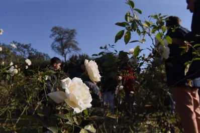 El tiempo en Tucumán: el domingo estará soleado antes del inicio de una semana calurosa