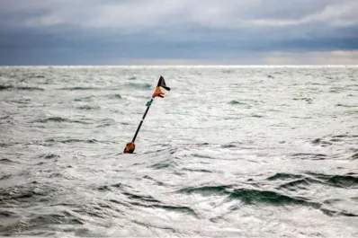 Sube el nivel del mar: ¿qué regiones argentinas están en riesgo?