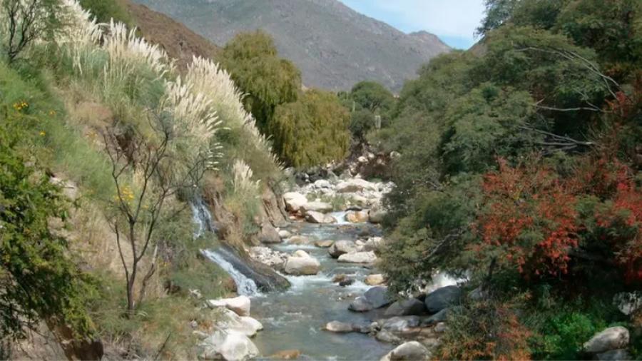 El lugar perfecto para escapar de la rutina laboral y los ruidos de la ciudad.