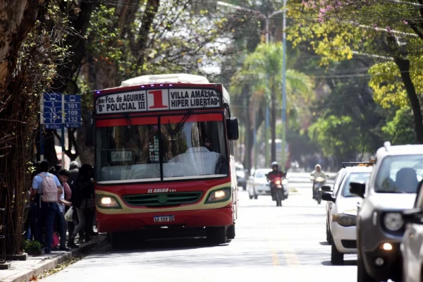 Madura la idea de dictar la emergencia municipal en el transporte público