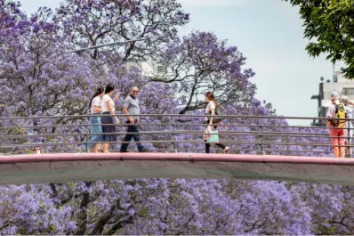 ¿Cómo estará el clima en los próximos tres meses?: el sorpresivo dato del Servicio Meteorológico Nacional