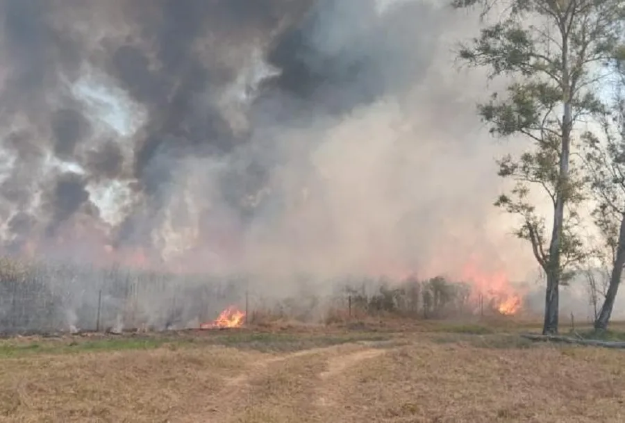 Un incendio puso en riesgo la estación transformadora de El Bracho