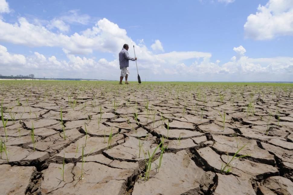 FENOMENOS QUE PREOCUPAN. La llegada de “La Niña” siempre es una preocupación en el campo, por la posibilidad de sufrir sequías severas.