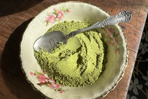 Matcha: el súper alimento verde que aporta energía y mejora la concentración