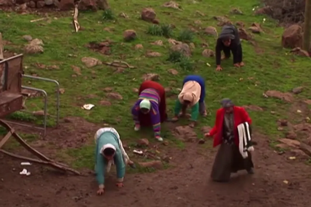 La familia Ulas, una rareza de la evolución.