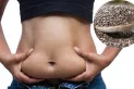 Cuál es la mejor forma de consumir semillas de chía para desinflamar el abdomen