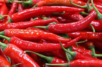 Las personas que consumen comida picante presentan mayor riesgo de padecer demencia, según la ciencia