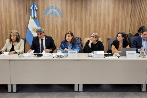 Pablo Yedlin pidió incorporar la vacuna contra el dengue al calendario nacional