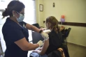 Anunciaron la vacunación contra el dengue para jóvenes de entre 20 y 24 años en Tucumán