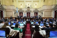 El Senado aprobó en general el proyecto de Boleta Única de Papel