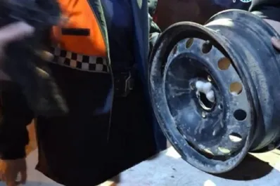 Bomberos tucumanos lograron rescatar con vida a un caniche que se había atascado en una llanta