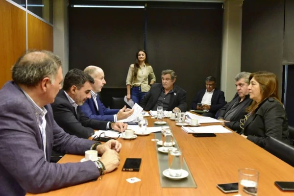 Legislatura: Tucumán tendría una adhesión lisa y llana al RIGI