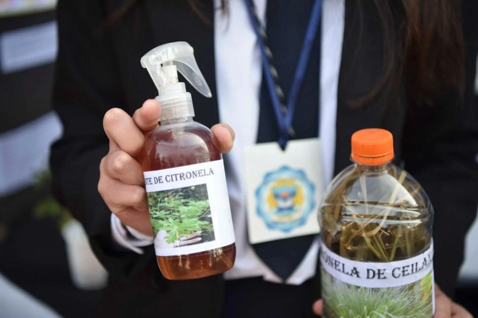 PRESENTACIÓN DEL TRABAJO. Las estudiantes de Simoca mostraron los detalles de su cooperativa durante la primera jornada de economía social.