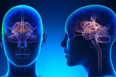 Cuál es el hábito nocturno que protege la memoria y previene enfermedades del cerebro