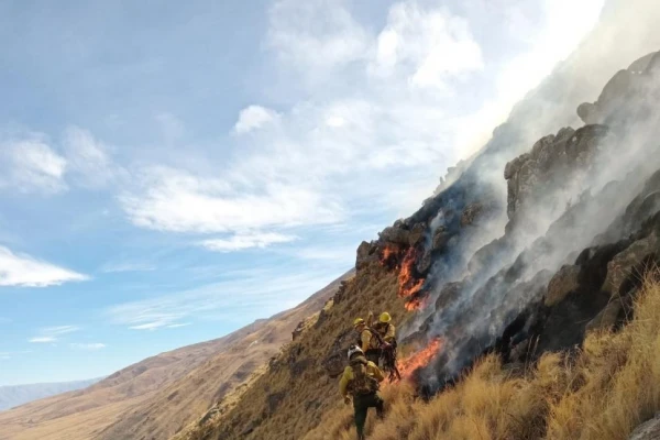 Incendios forestales: “El 90% de las llamas son provocadas por el hombre”