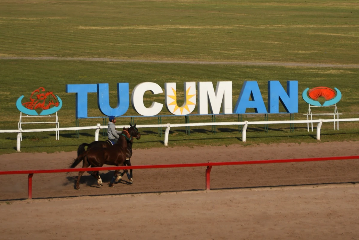 PREPARATIVOS. Los ejemplares son entrenados en la pista principal y en la pista auxiliar con miras a la jornada interprovincial del martes 24. La reunión, que se pondrá en marcha a las 12, contará con 15 competencias de primer nivel.