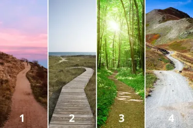 Test de personalidad: elegí un camino y descubrí cuál es tu mayor motivación