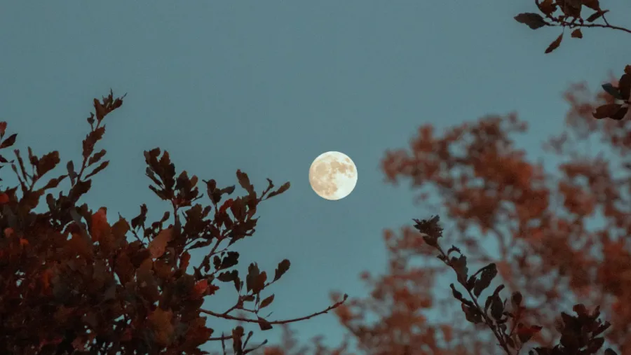 Superluna: rituales poderosos para atraer amor, salud y abundancia
