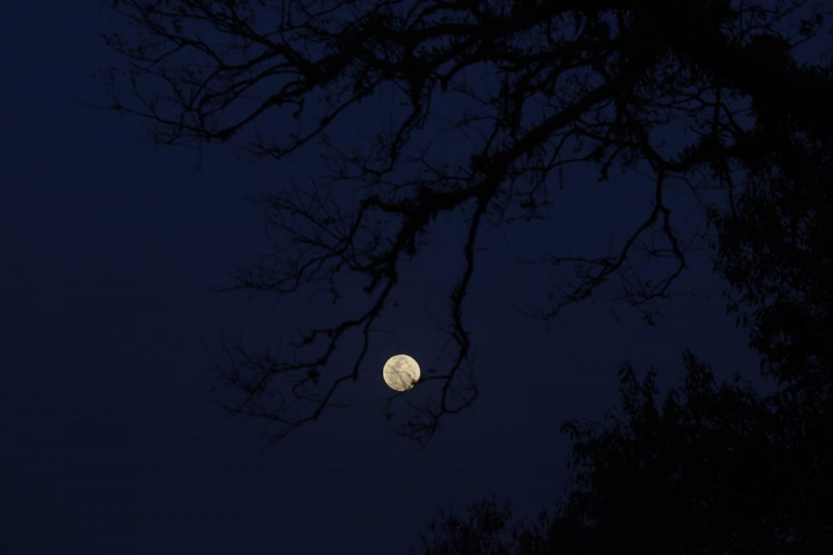 Mirá las imágenes del Eclipse de Superluna observado desde Tucumán