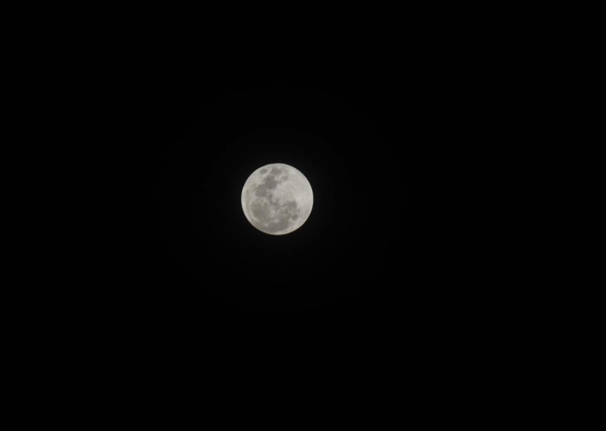 Mirá las imágenes del Eclipse de Superluna observado desde Tucumán