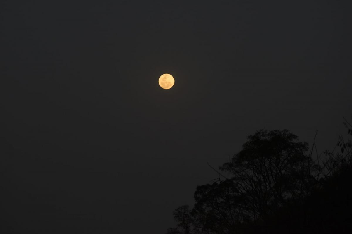 Mirá las imágenes del Eclipse de Superluna observado desde Tucumán