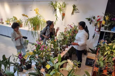 Se realizará la 21ª Exposición de Orquídeas en Yerba Buena