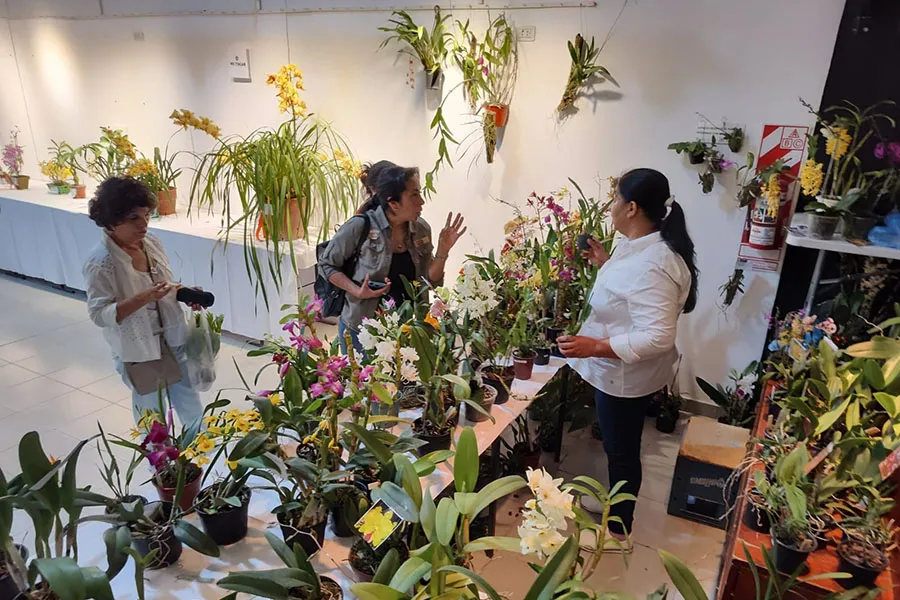 Se realizará la 21ª Exposición de Orquídeas en Yerba Buena