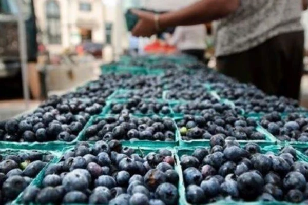 Las frutas argentinas se organizan para ir a la conquista del “Gigante asiático”