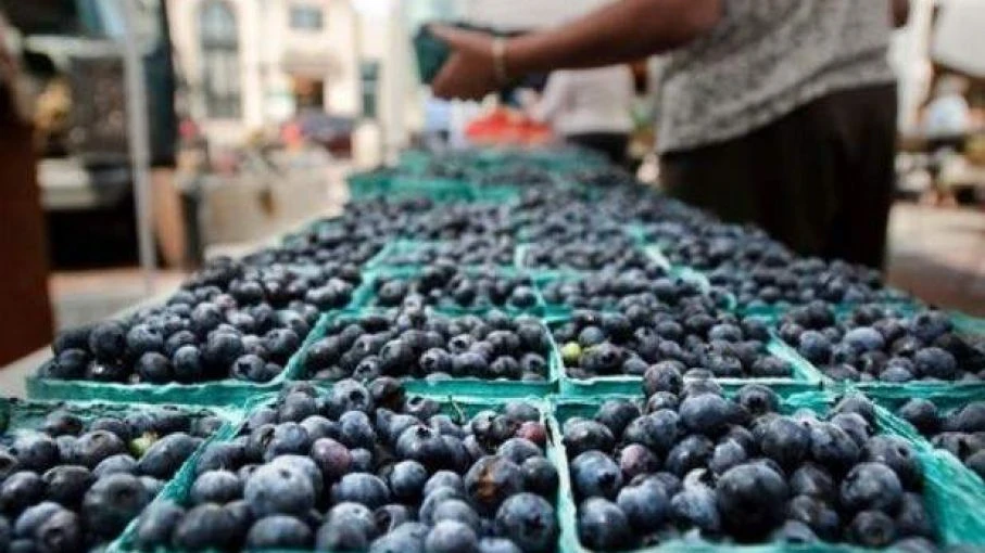 DATO. La exportación de frutas a China es joven y pequeña. En los últimos 10 años ingresaron cítricos dulces, pomelos, uvas, arándanos, cerezas y limones.