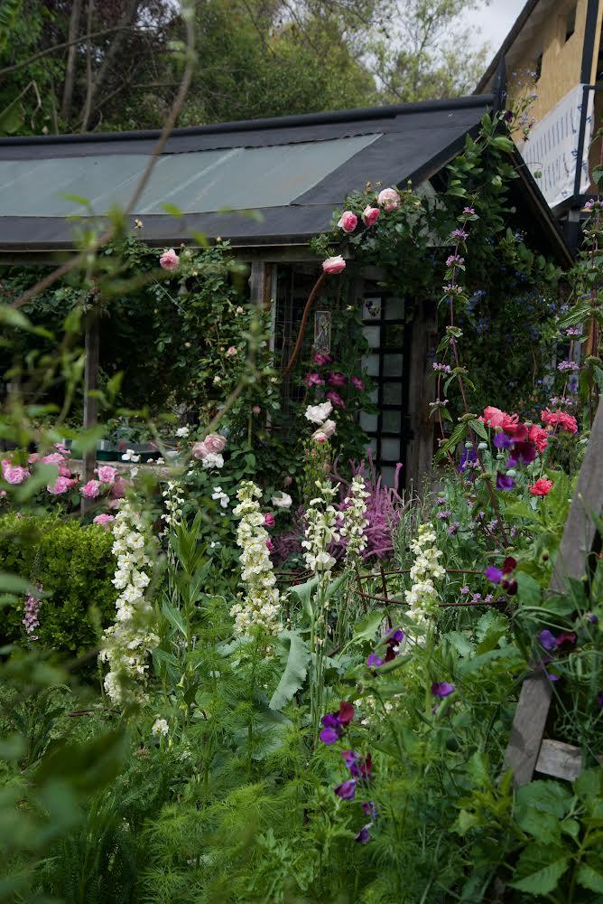 Paquita Romano: la dueña del jardín más instagrameable de Buenos Aires