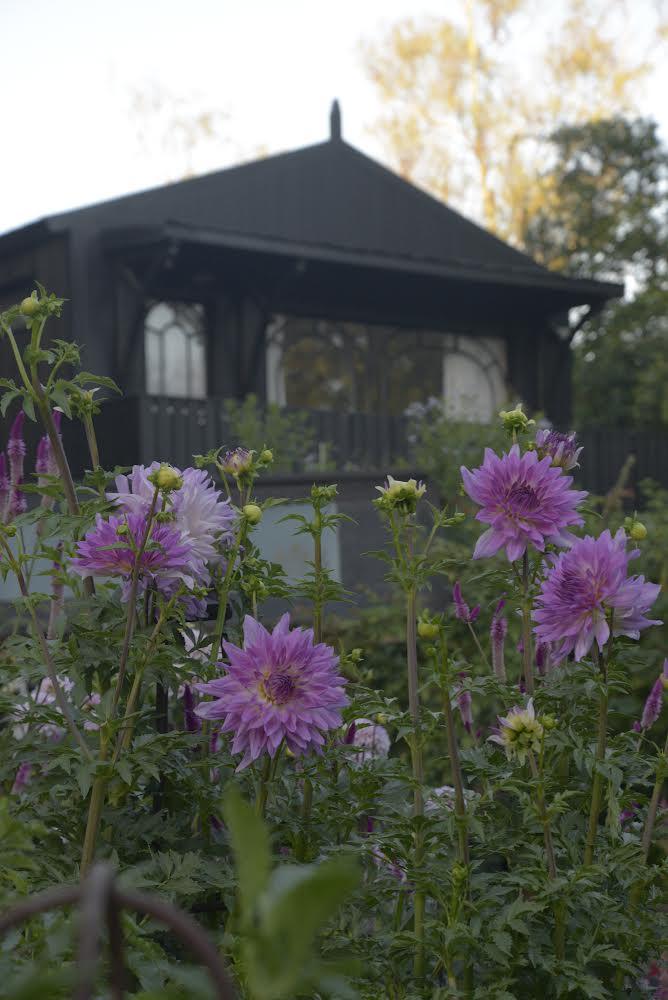 Paquita Romano: la dueña del jardín más instagrameable de Buenos Aires