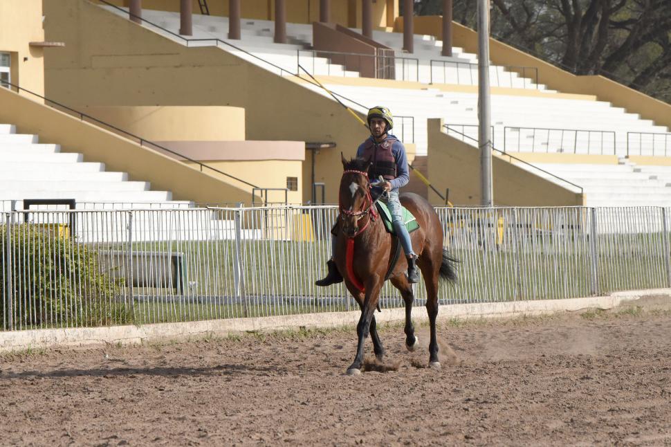 PUESTA A PUNTO. Ángel Vai confía en la experiencia del alazán Red Joy.