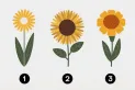 Test de personalidad: la flor amarilla que elijas revelará el tipo de carácter que tenés