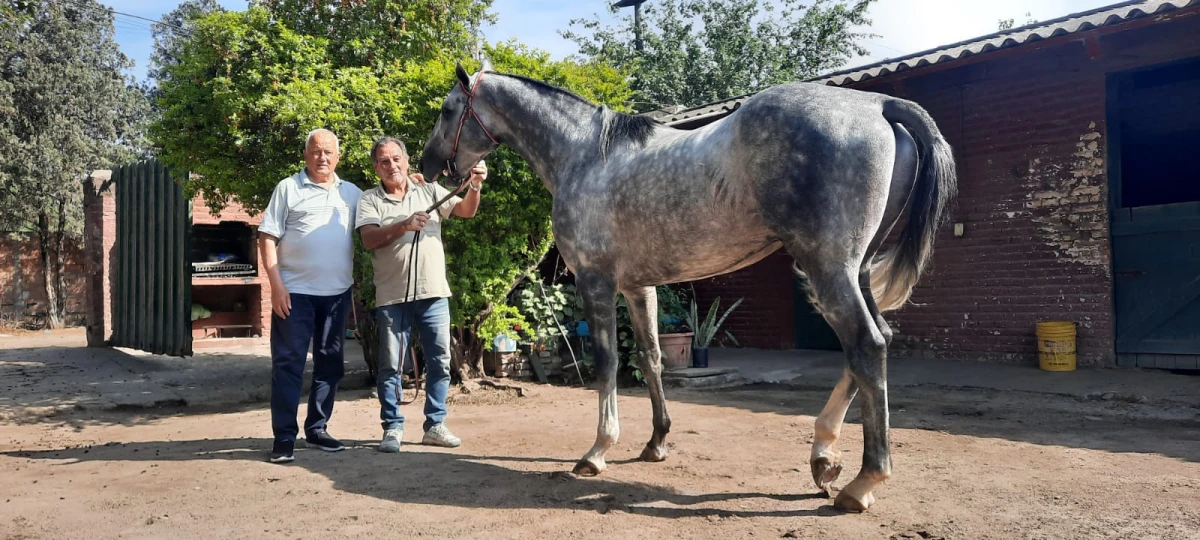 LE SOBRA OPTIMISMO. “Los dos caballos llegan en perfectas condiciones; y les tengo muchísima confianza”, puntualizó Marcelo Arce (izquierda), que presentará a Súper Cocktail y a Real Craf en el Gran Premio que se disputará mañana.