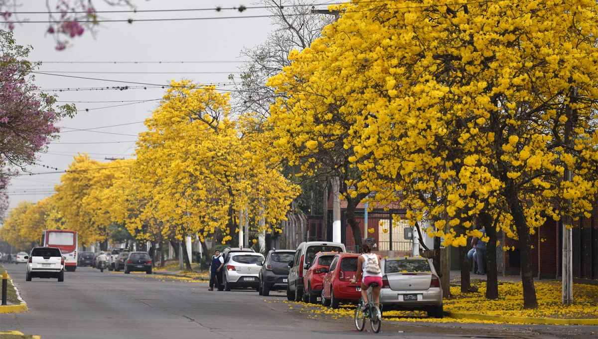 El tiempo en Tucumán: el intenso calor cederá esta semana y no descartan algunas lluvias