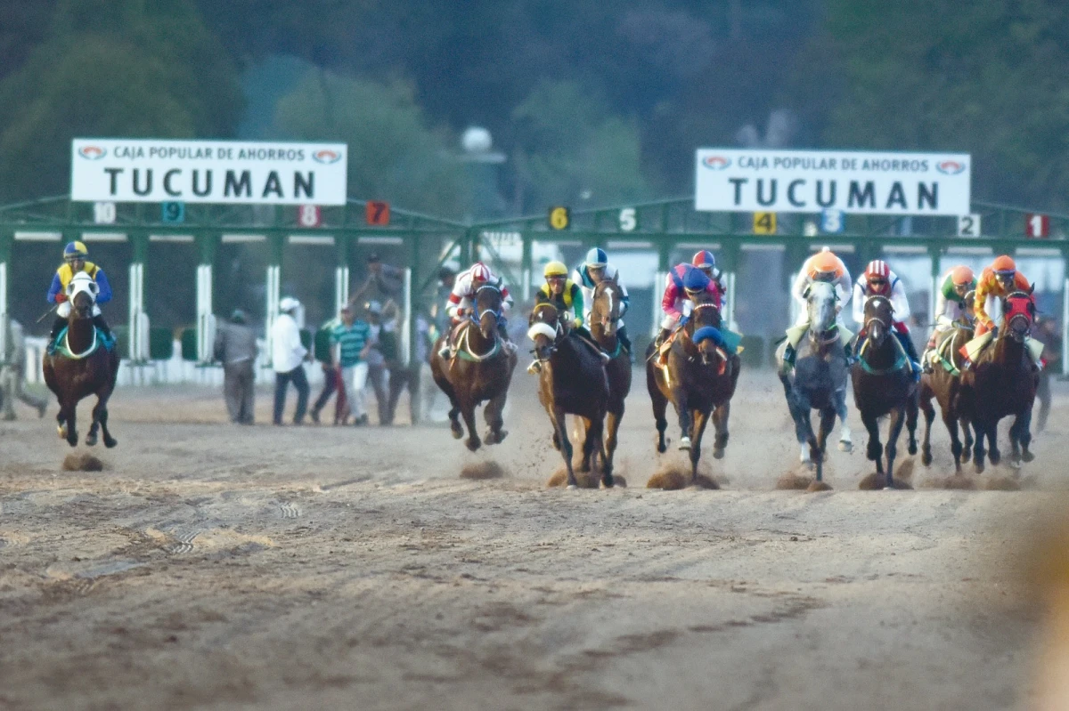 TODO LISTO PARA LA COMPETENCIA. Mañana será el Gran Premio Batalla de Tucumán en el Hipodromo.