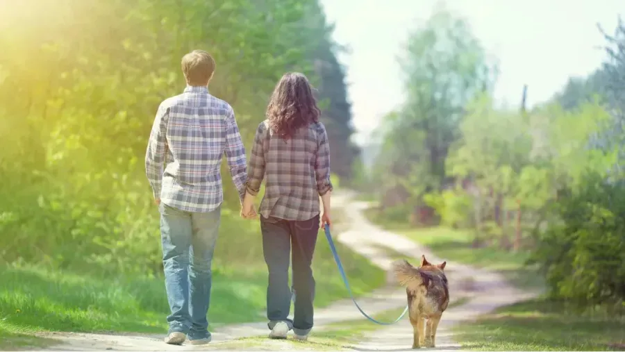 Cuánto hay que caminar por día para prevenir la diabetes 