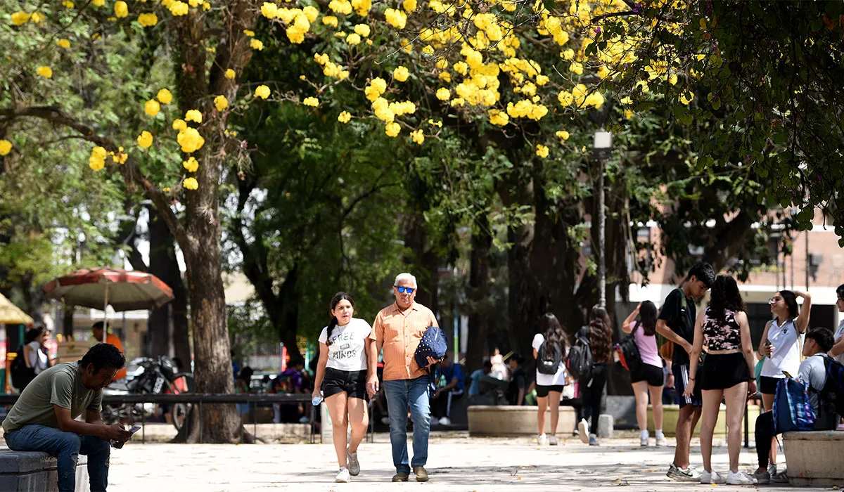 CÁLIDO. El jueves la máxima alcanzaría al menos los 28 °C y la jornada terminaría con lloviznas.