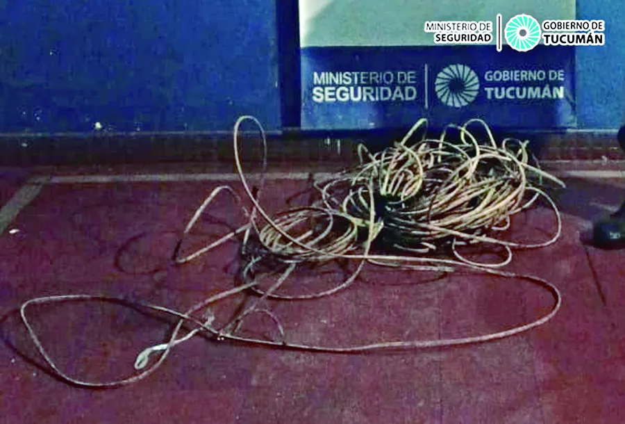 Liberaron a dos menores que robaron cables